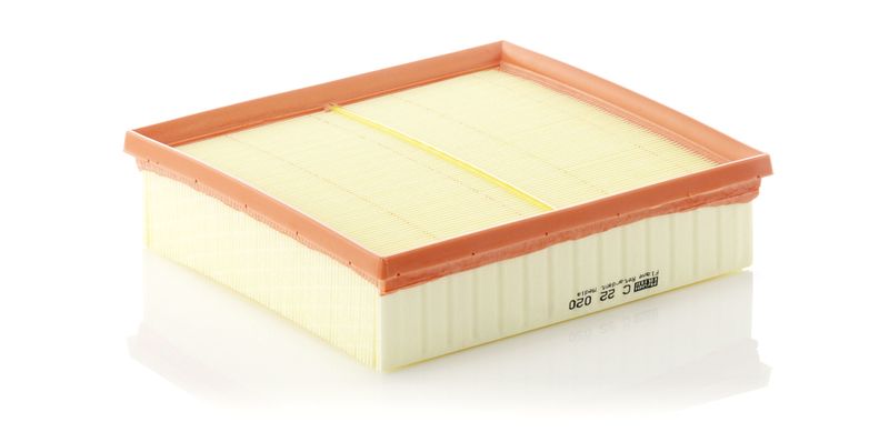 MANN-FILTER Luftfilter (C 22 020)