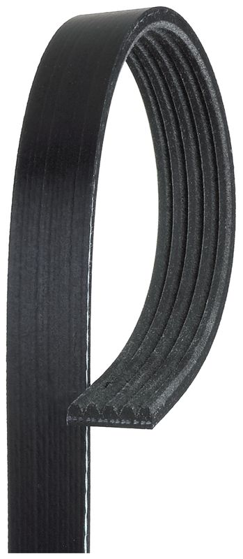 GATES Keilrippenriemen (5PK1260)