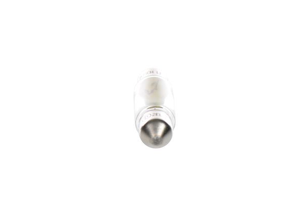 BOSCH Glühlampe, Kennzeichenleuchte (1 987 301 004) 3165141228717 1 987 301 004