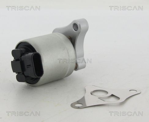 TRISCAN AGR-Ventil (8813 24002)