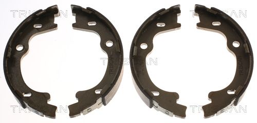 TRISCAN Bremsbackensatz (8100 43021)