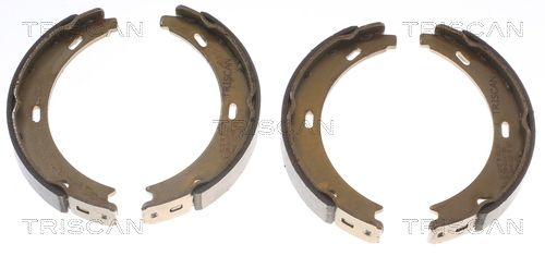 TRISCAN Bremsbackensatz (8100 23412)