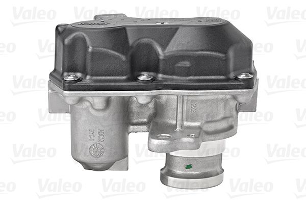 VALEO AGR-Ventil (700449)
