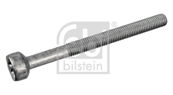 FEBI BILSTEIN Schraube, Einspritzdüsenhalter (172930)