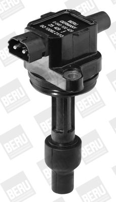 BorgWarner (BERU) Zündspule (ZS429) Thumbnail