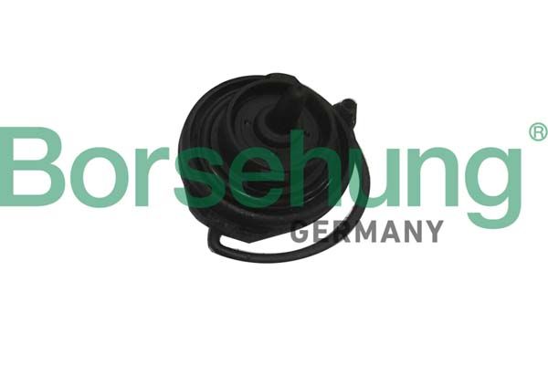 Borsehung Verschluss, Kraftstoffbehälter (B18783) Thumbnail