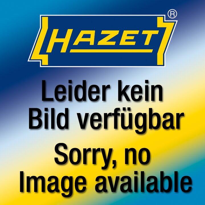 HAZET 2-Komponenten Weichschaum-Einlage 163-507L