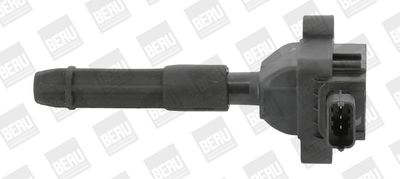 BorgWarner (BERU) Zündspule (ZS041)