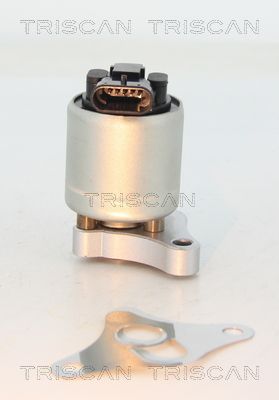 TRISCAN AGR-Ventil (8813 24002)