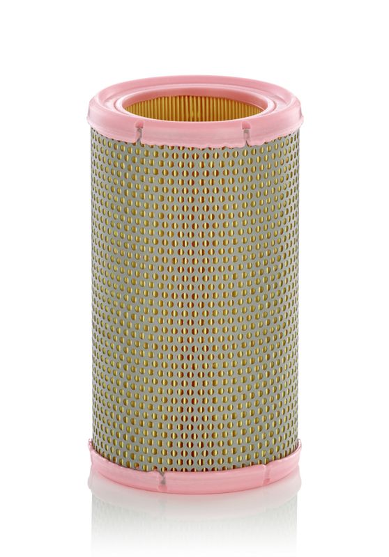 MANN-FILTER Luftfilter (C 1380)