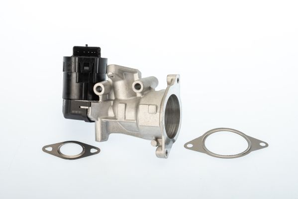 BorgWarner (Wahler) AGR-Ventil (710926D/1)
