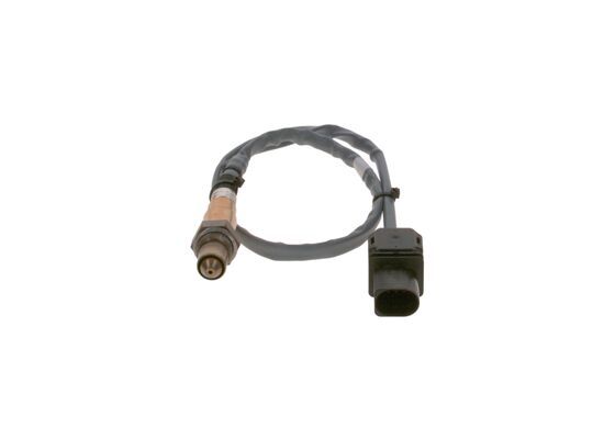 BOSCH Lambdasonde (0 281 004 490)