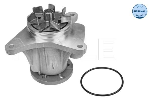 MEYLE Wasserpumpe, Motorkühlung (53-13 220 0007)