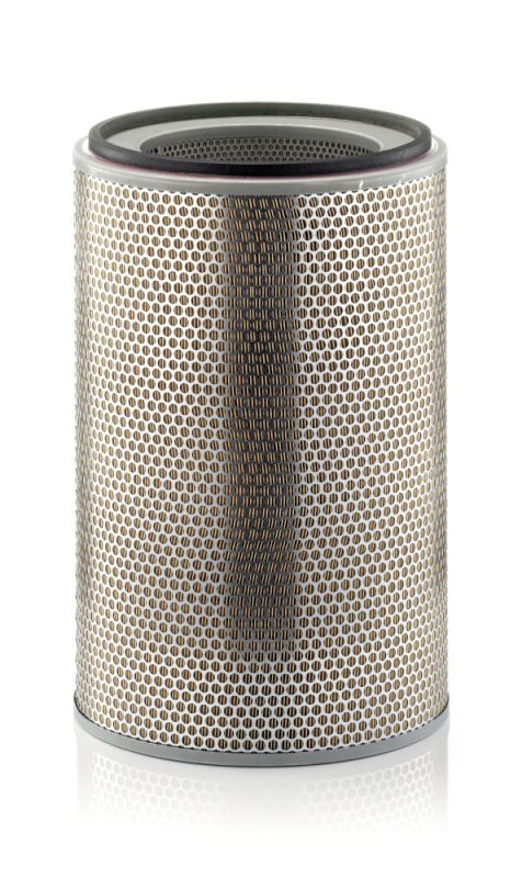 MANN-FILTER Luftfilter (C 31 1226)