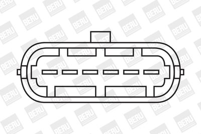 BorgWarner (BERU) Zündspule (ZS338) Thumbnail