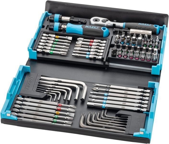 HAZET Set, Schraubendreher-Einsatz (Bits) (2200SC-31)