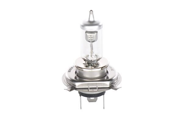 BOSCH Glühlampe (1 987 302 042)