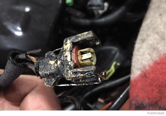 HERTH+BUSS ELPARTS Kabelreparatursatz, Einspritzventil (51277266) Thumbnail