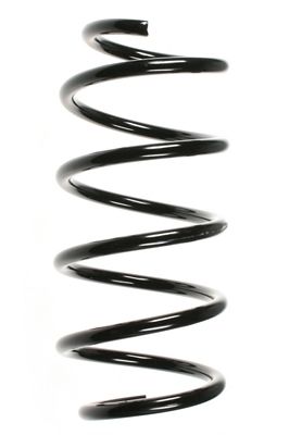 SPIDAN Fahrwerksfeder (85333)