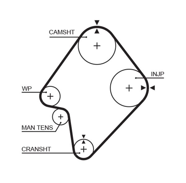 GATES Zahnriemen (5300XS)