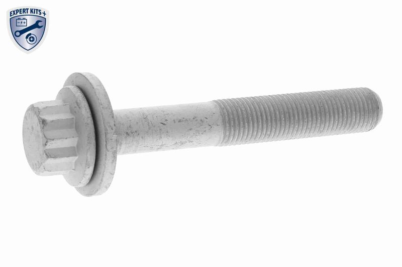 VAICO Steuerkettensatz (V10-10013-SP)
