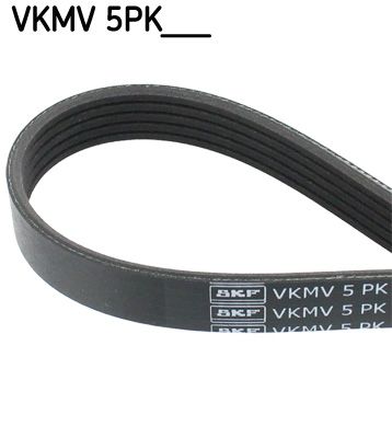 SKF Keilrippenriemen (VKMV 5PK884)