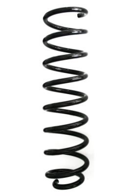 SPIDAN Fahrwerksfeder (GKNW10108)