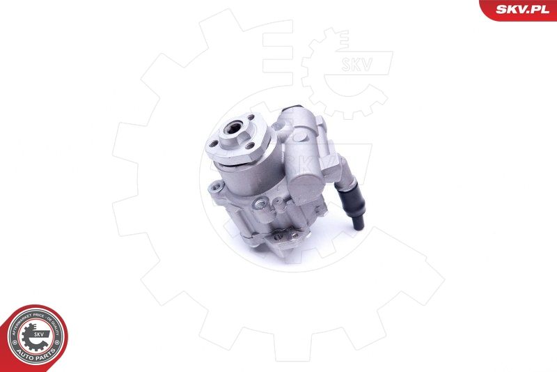 ESEN SKV Hydraulikpumpe, Lenkung (10SKV256) ESEN SKV Hydraulikpumpe, Lenkung (10SKV256)