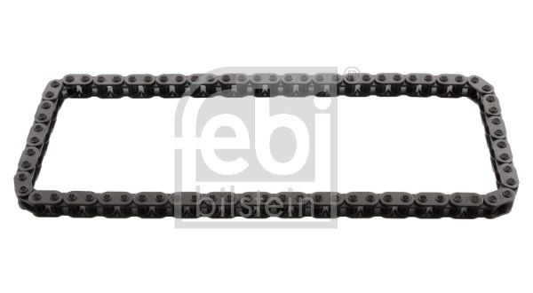 FEBI BILSTEIN Steuerkette (21267) Thumbnail