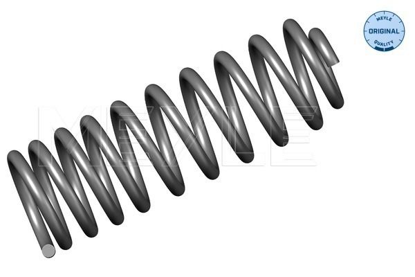 MEYLE Fahrwerksfeder (100 739 0018)