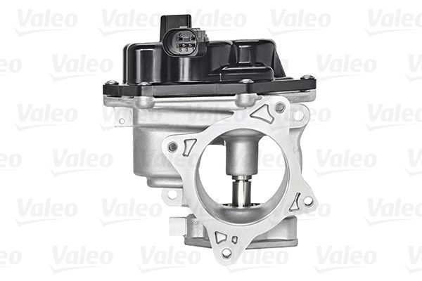 VALEO AGR-Ventil (700448)