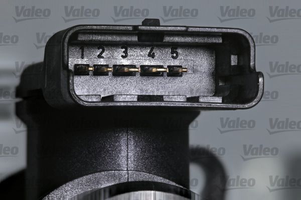 VALEO Luftmassenmesser (366284)