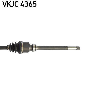 SKF Antriebswelle (VKJC 4365)