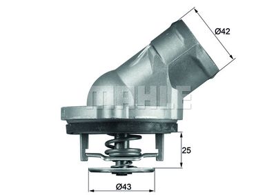 MAHLE Thermostat, Kühlmittel (TI 45 87D)