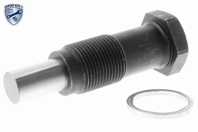 VAICO Steuerkettensatz (V10-10013-SP)