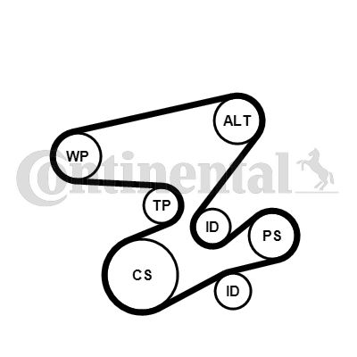 CONTINENTAL CTAM Keilrippenriemensatz (6PK2080K1)