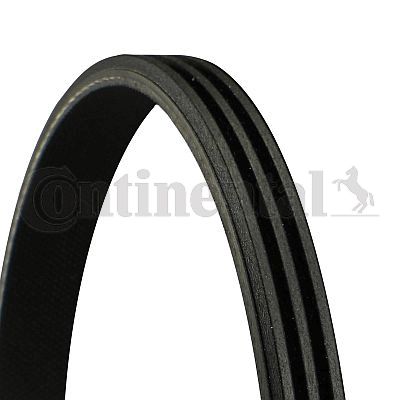 CONTINENTAL CTAM Keilrippenriemen (3PK715)