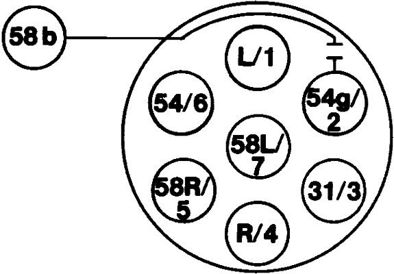 HELLA Steckdose (8JB 001 943-011)