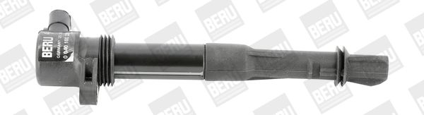 BorgWarner (BERU) Zündspule (ZS320)