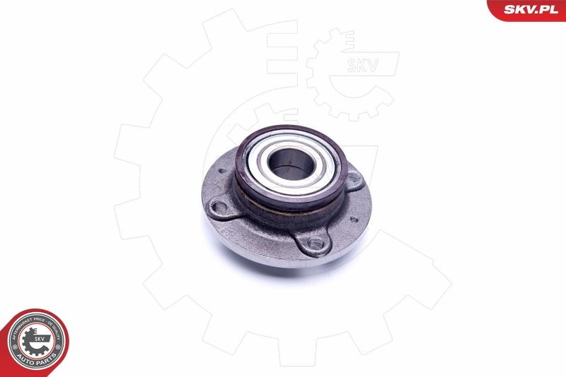 ESEN SKV Radlagersatz (29SKV220) ESEN SKV Radlagersatz (29SKV220)