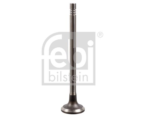 FEBI BILSTEIN Kühlerschlauch (175568)