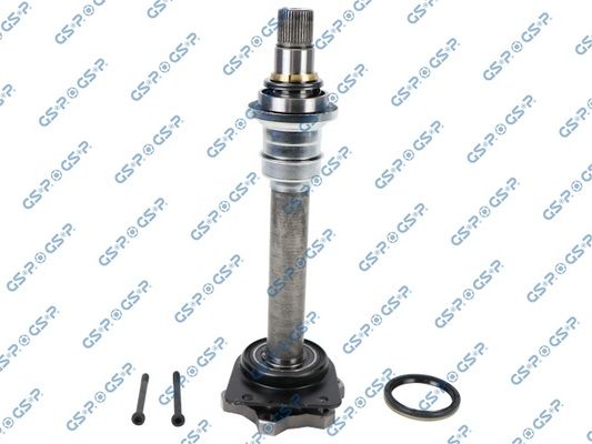 GSP Steckwelle, Differential (261193)