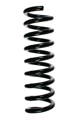 SPIDAN Fahrwerksfeder (85215)