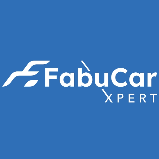 FabuCar XPERT - 12 Monate