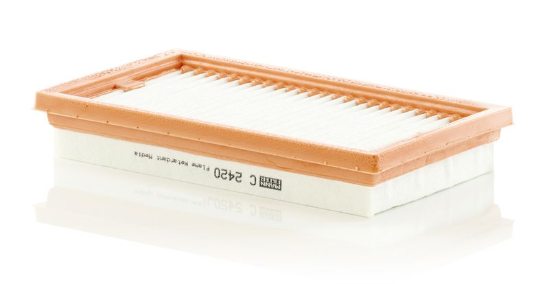 MANN-FILTER Luftfilter (C 2420)
