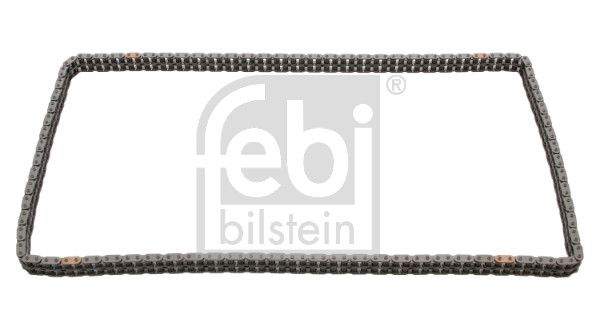 FEBI BILSTEIN Steuerkette (25507)
