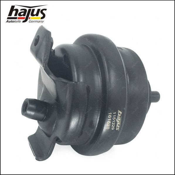 hajus Autoteile Lagerung, Motor (1151229)