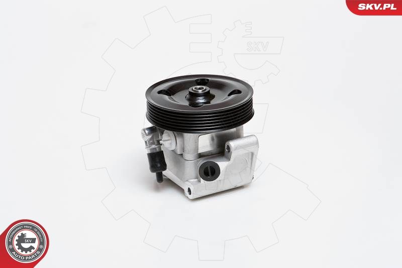 ESEN SKV Hydraulikpumpe, Lenkung (10SKV091) | KFZ-6810907