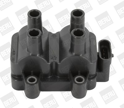 BorgWarner (BERU) Zündspule (ZS354)