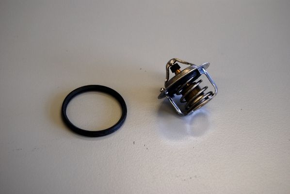 BorgWarner (Wahler) Thermostat, Kühlmittel (411241.82D)